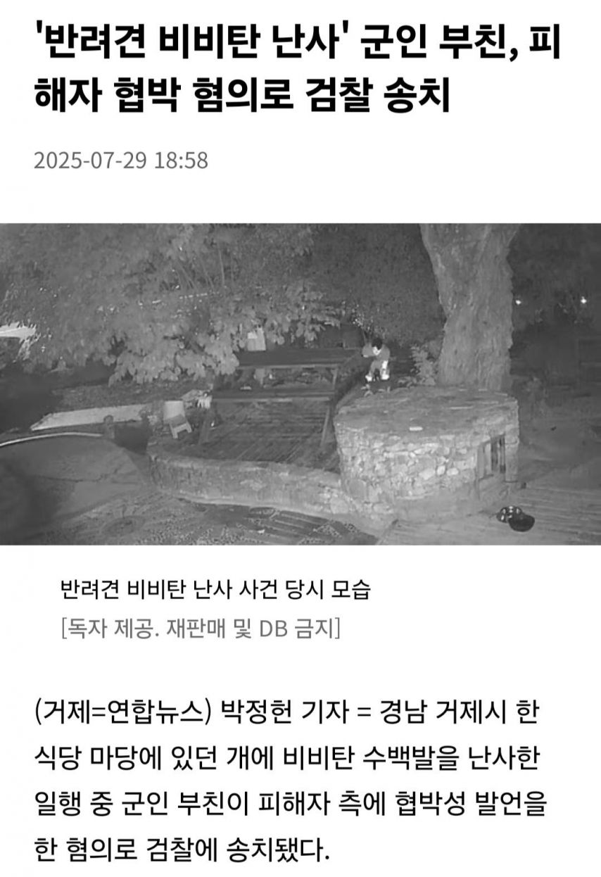 비비탄 난사 군인 부친