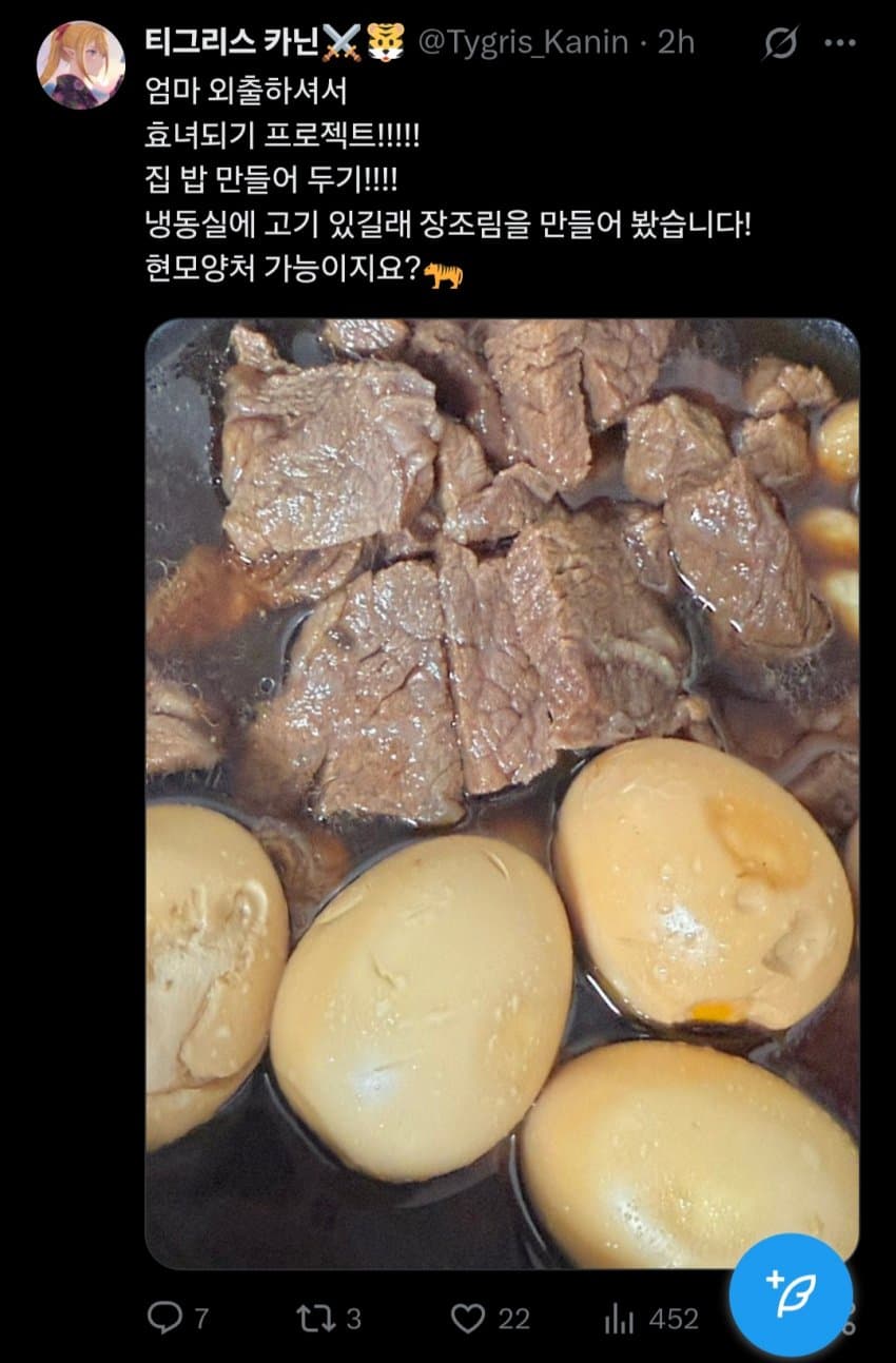 효녀 되려다 망한 버튜버…jpg