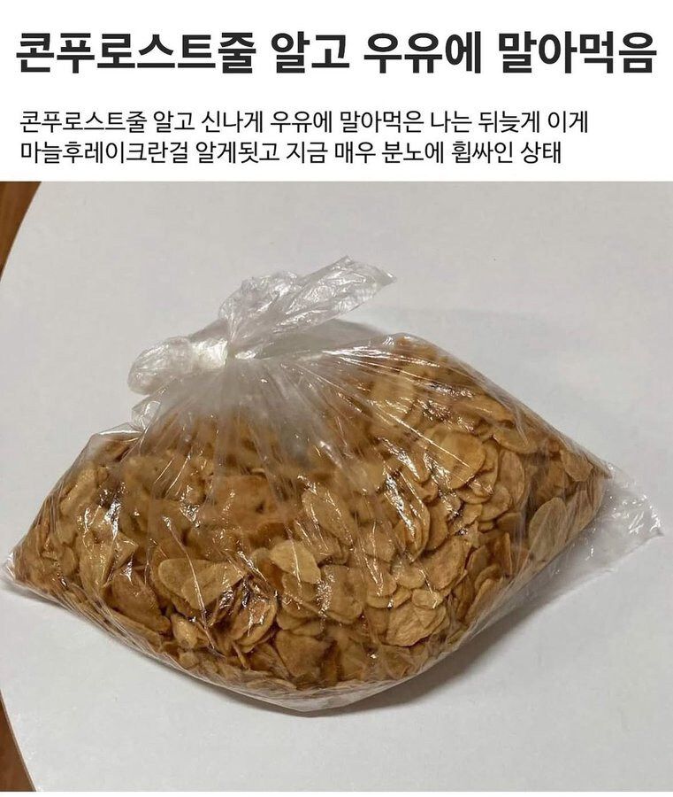 콘푸로스트인줄 알고 우유에 말아먹음