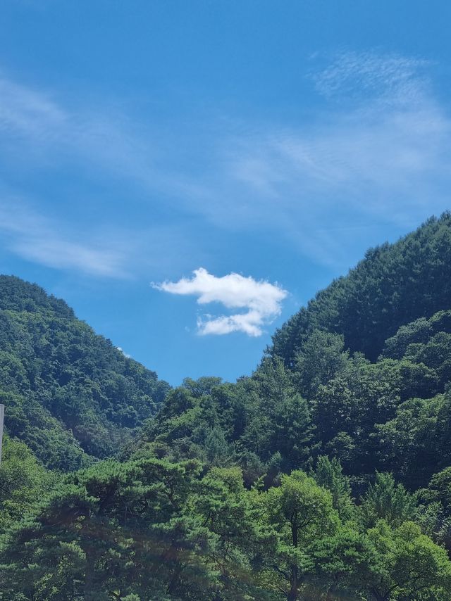 중복날 아버지와 염소탕..