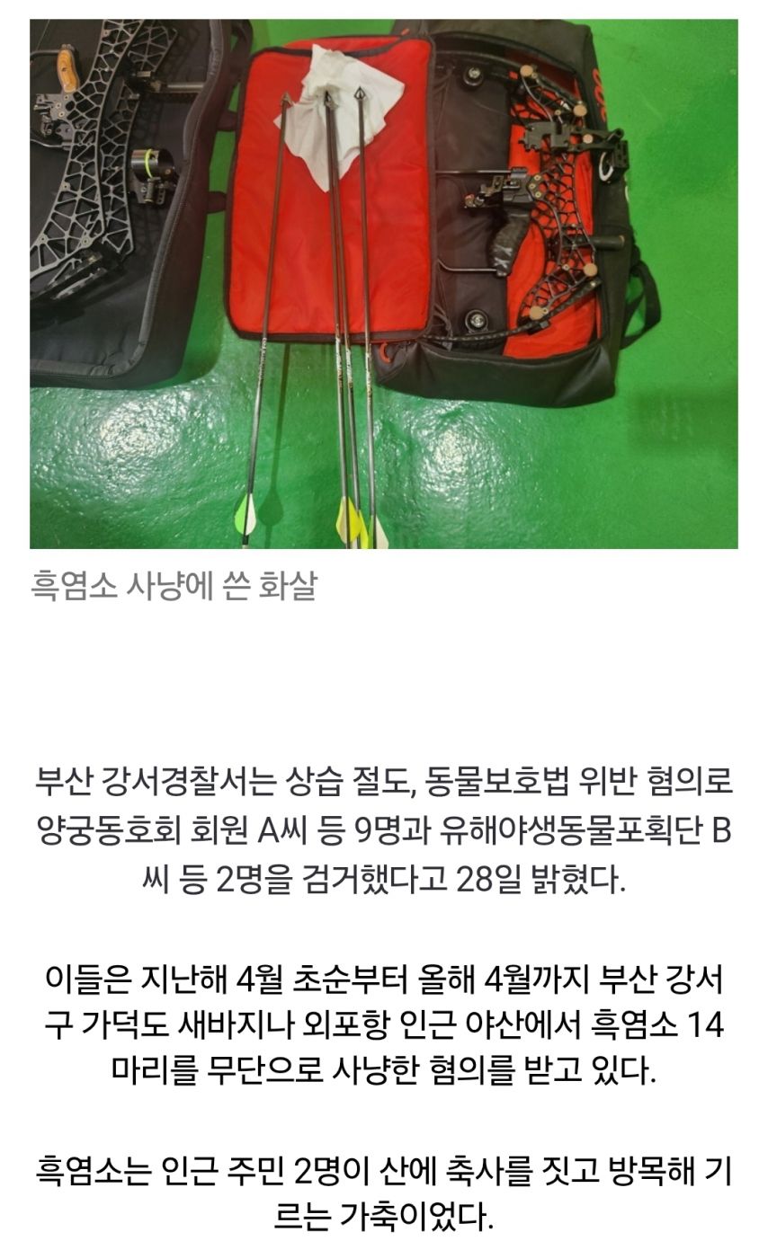 남이 방목하는 흑염소 14마리 사냥한 양궁동호회