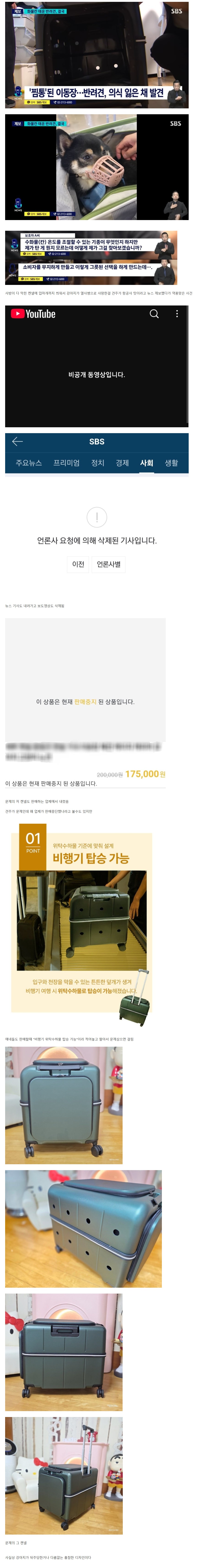 역풍맞은 비행기 화물칸 강아지 사망사고