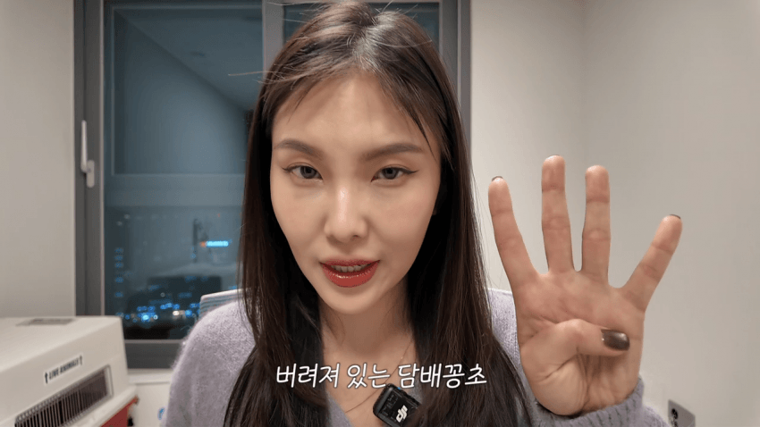 DC Inside 이미지 2