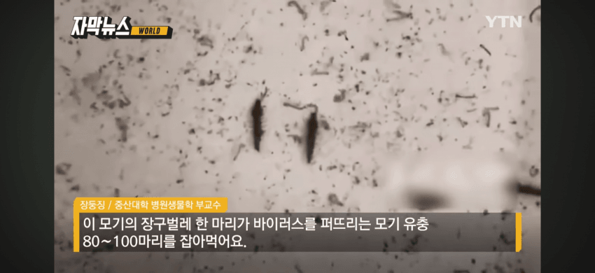 DC Inside 이미지 7