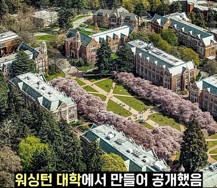DC Inside 이미지 5