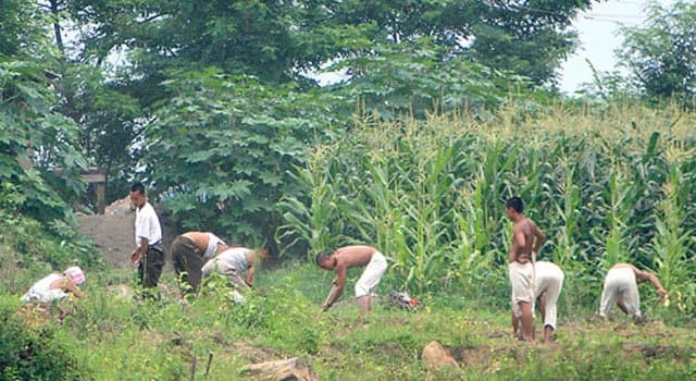 DC Inside 이미지 15