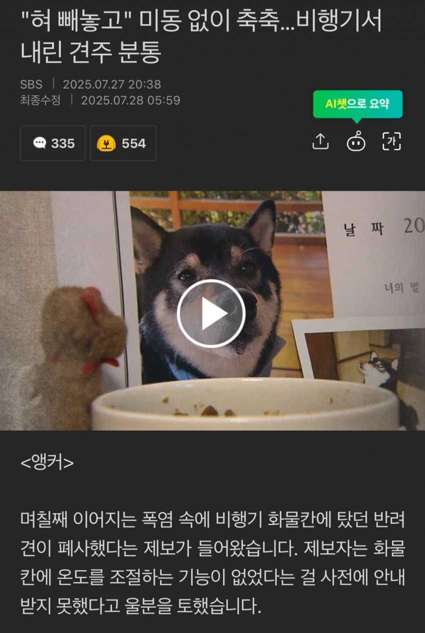 DC Inside 이미지 2