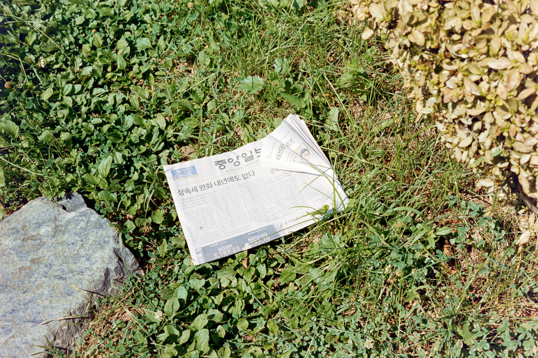 DC Inside 이미지 4