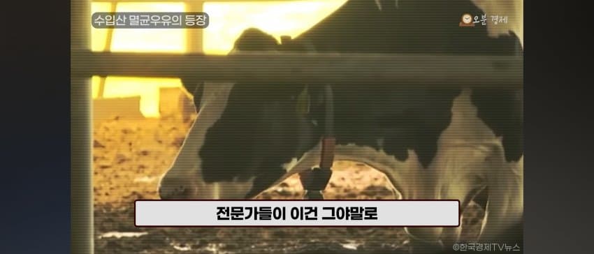 DC Inside 이미지 12