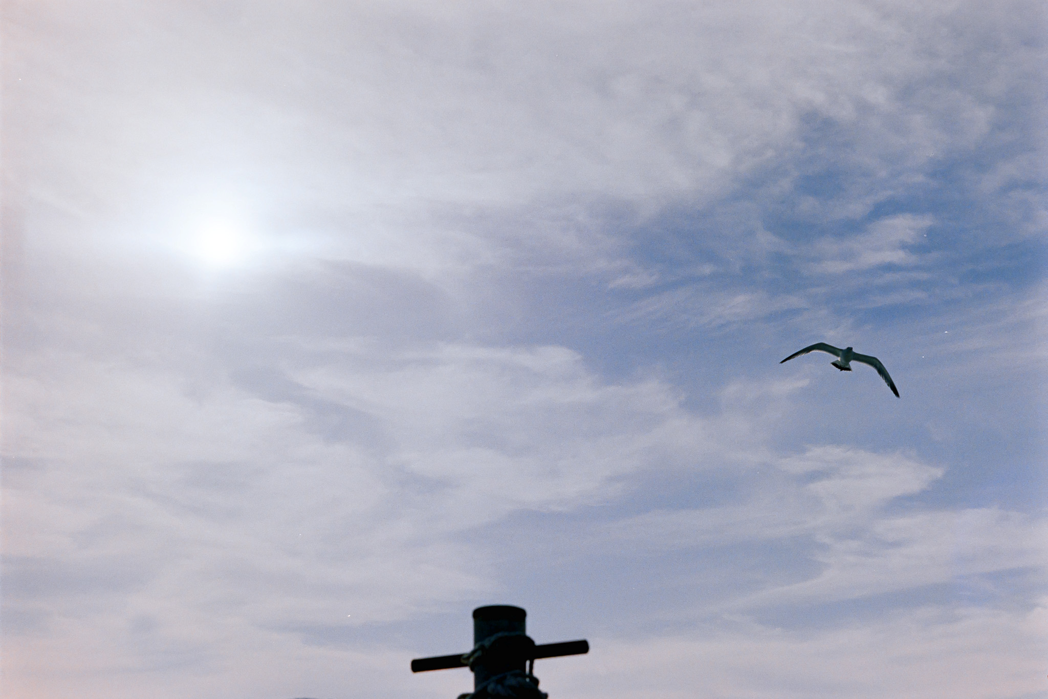 DC Inside 이미지 11