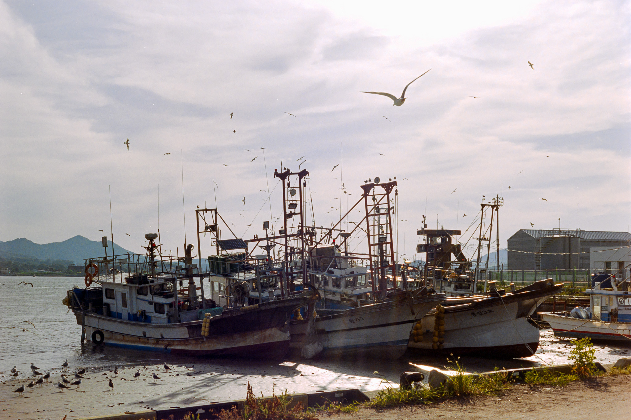 DC Inside 이미지 16