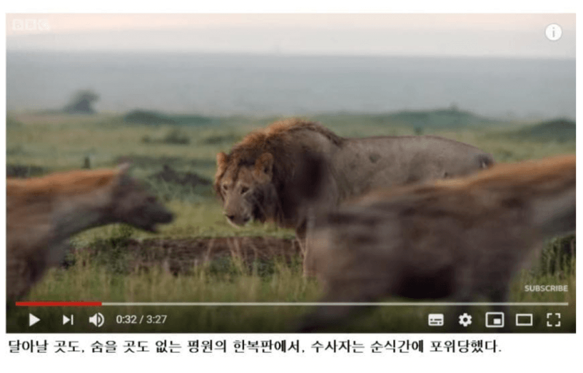 DC Inside 이미지 13