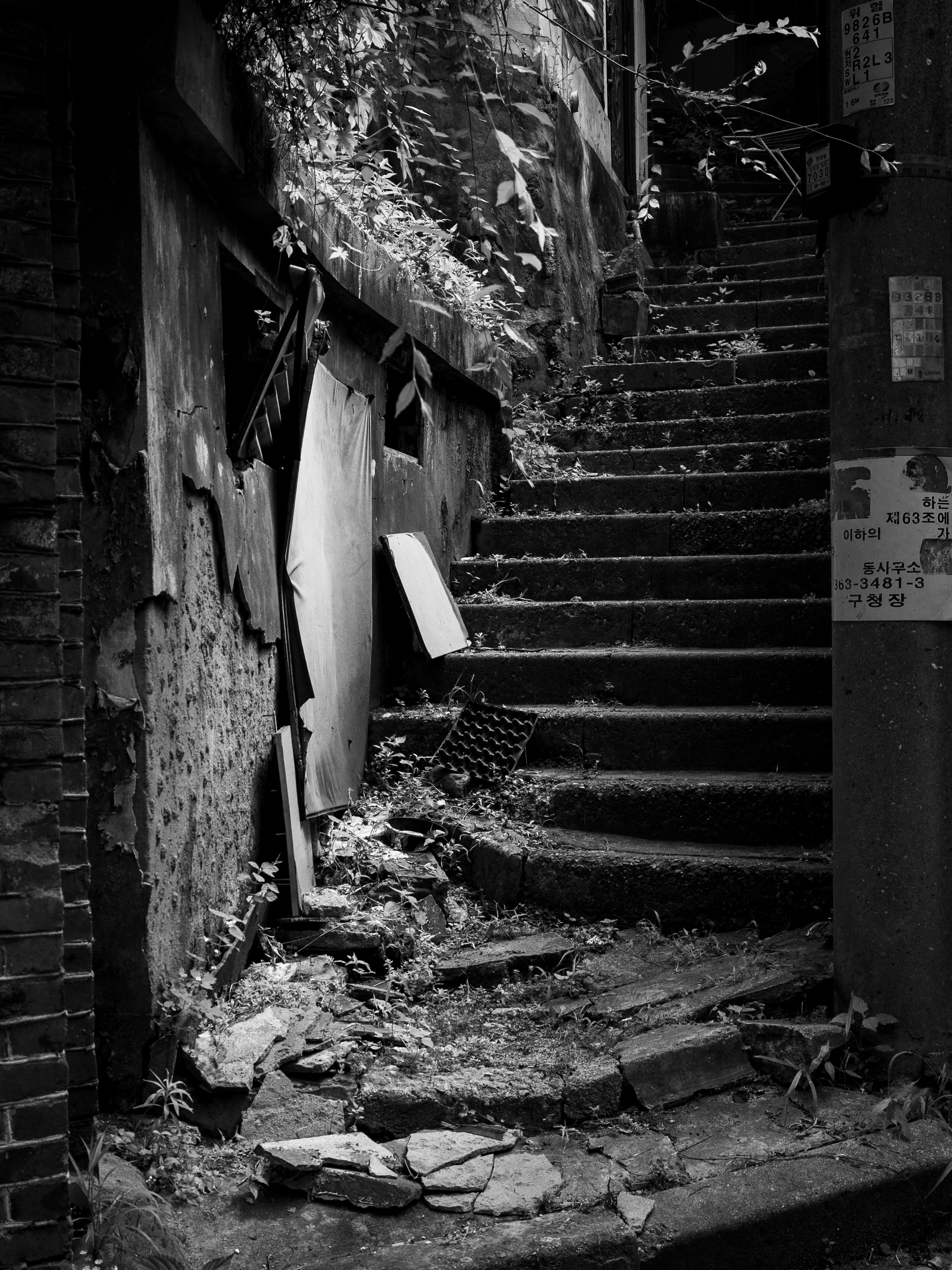 DC Inside 이미지 17