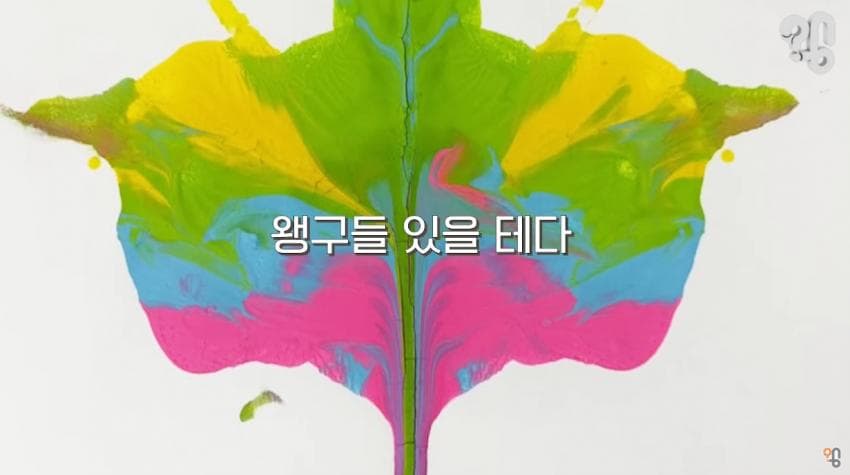 DC Inside 이미지 17