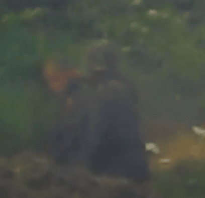 DC Inside 이미지 19