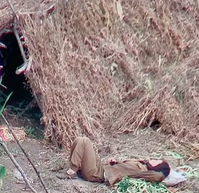 DC Inside 이미지 13