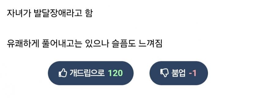 DC Inside 이미지 2