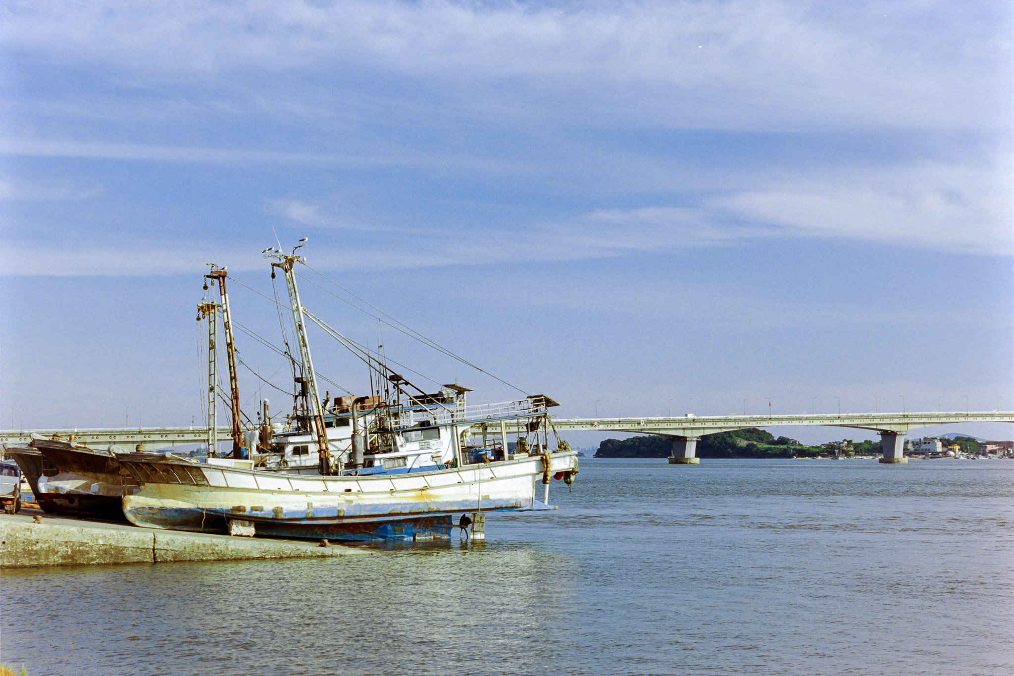 DC Inside 이미지 10