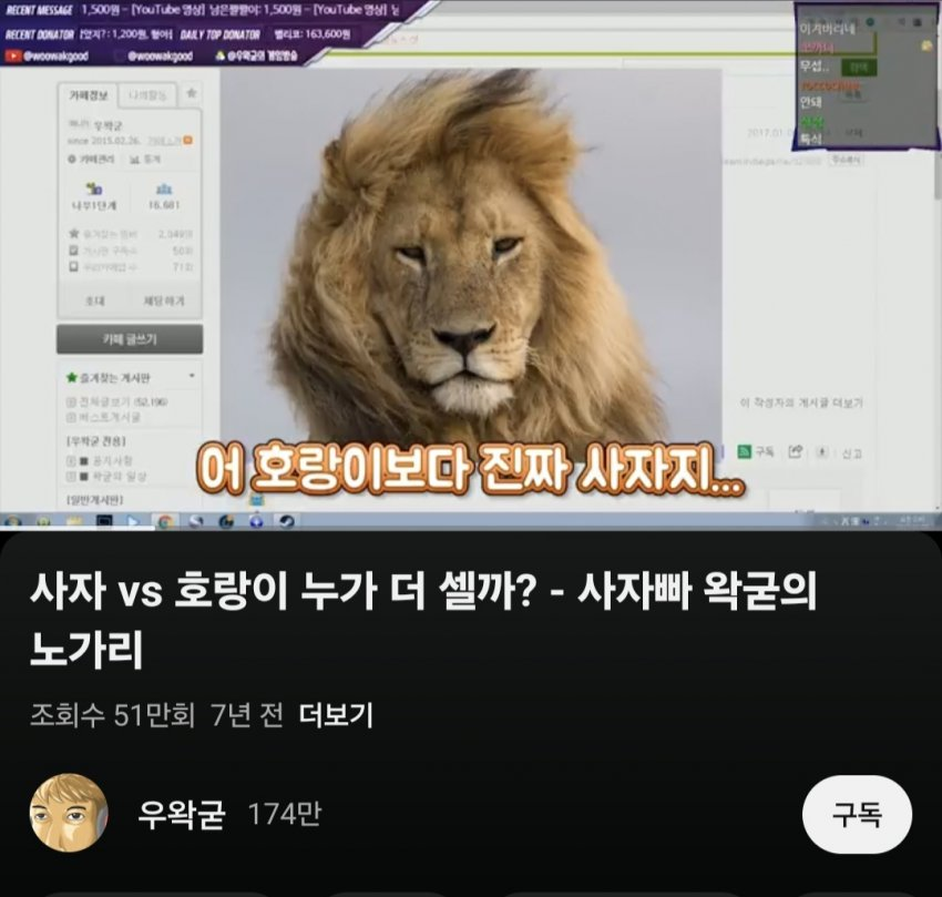 DC Inside 이미지 19