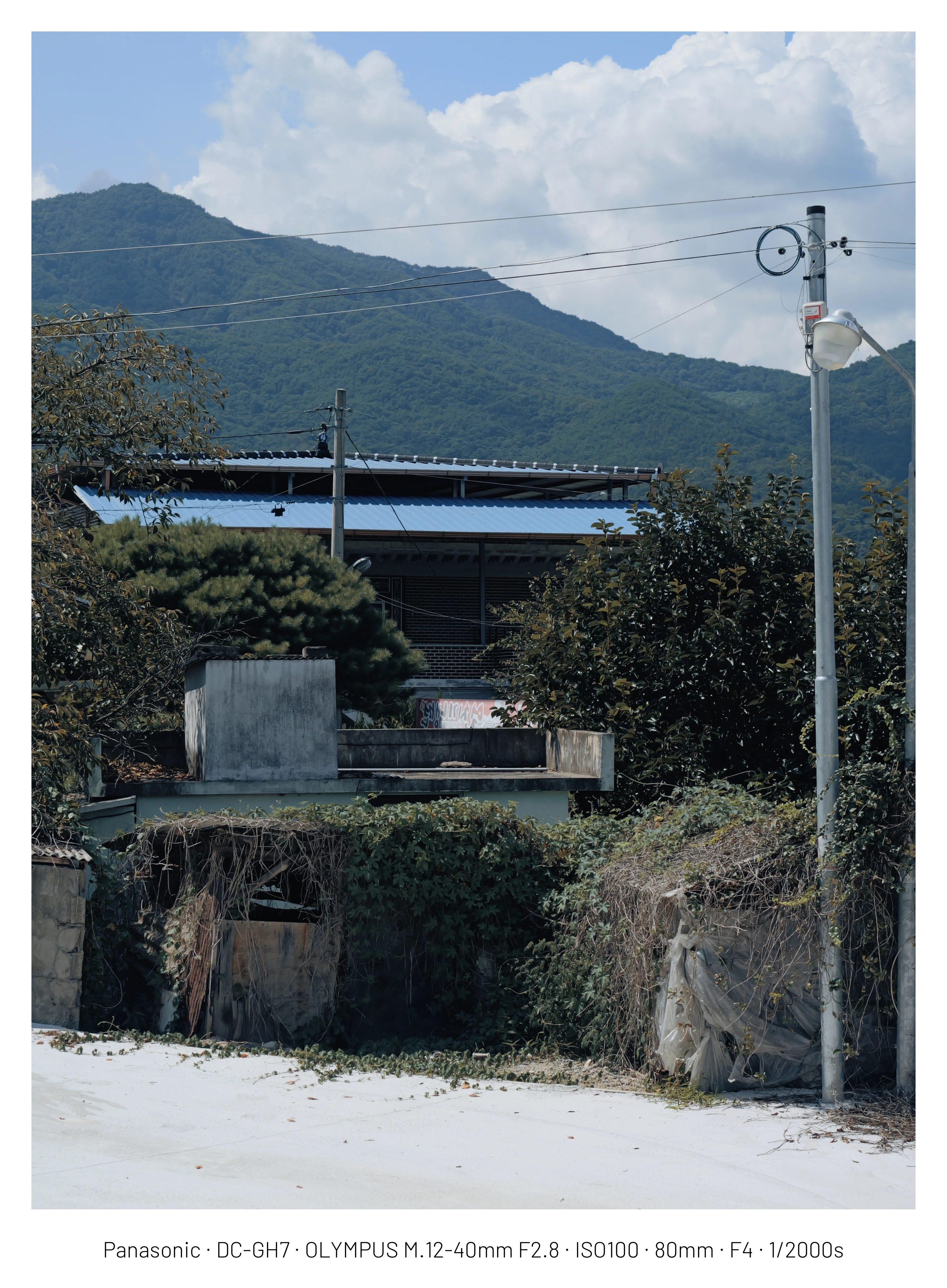 DC Inside 이미지 4