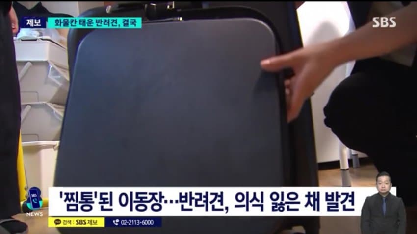 DC Inside 이미지 11