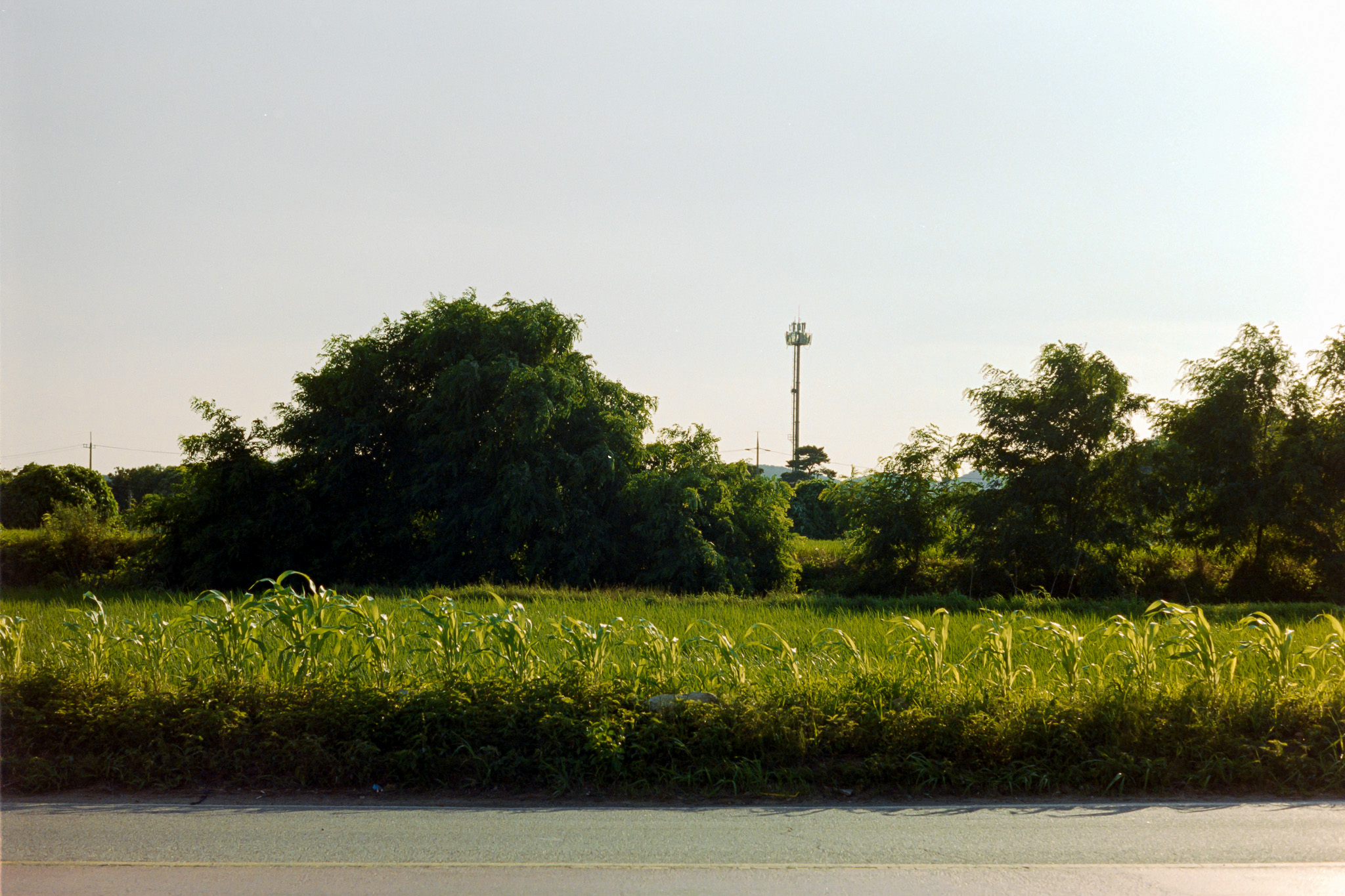 DC Inside 이미지 3