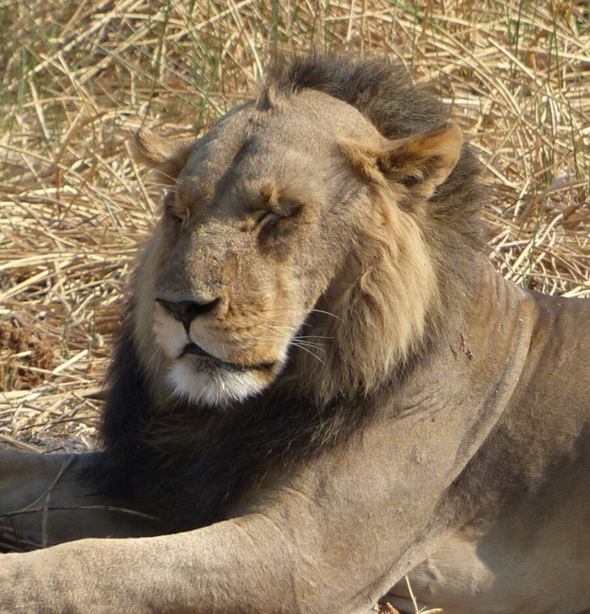 DC Inside 이미지 20