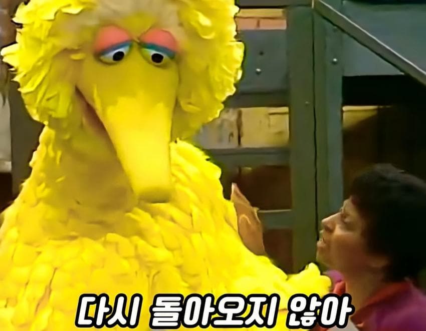 DC Inside 이미지 18