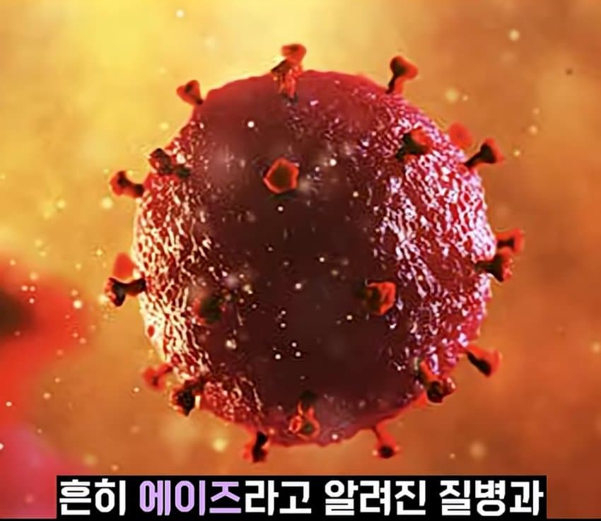 DC Inside 이미지 13