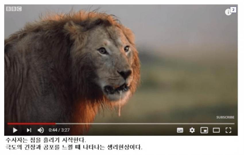 DC Inside 이미지 14