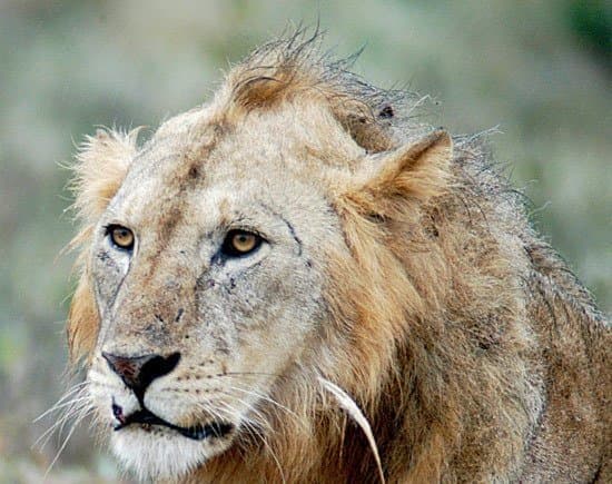 DC Inside 이미지 6