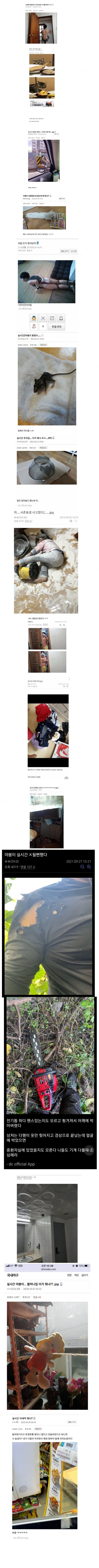DC Inside 이미지 6