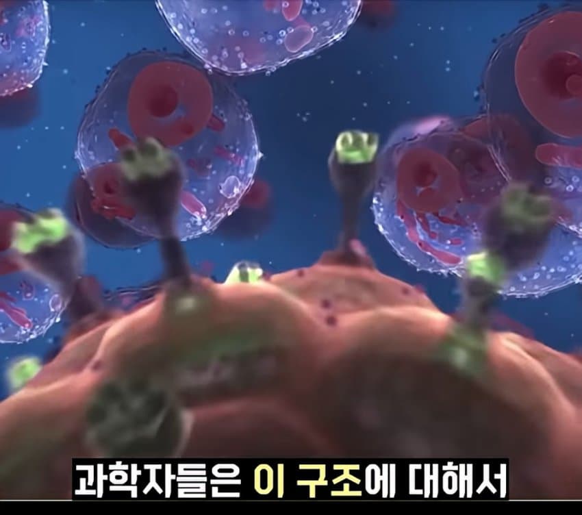 DC Inside 이미지 18