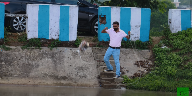 DC Inside 이미지 3