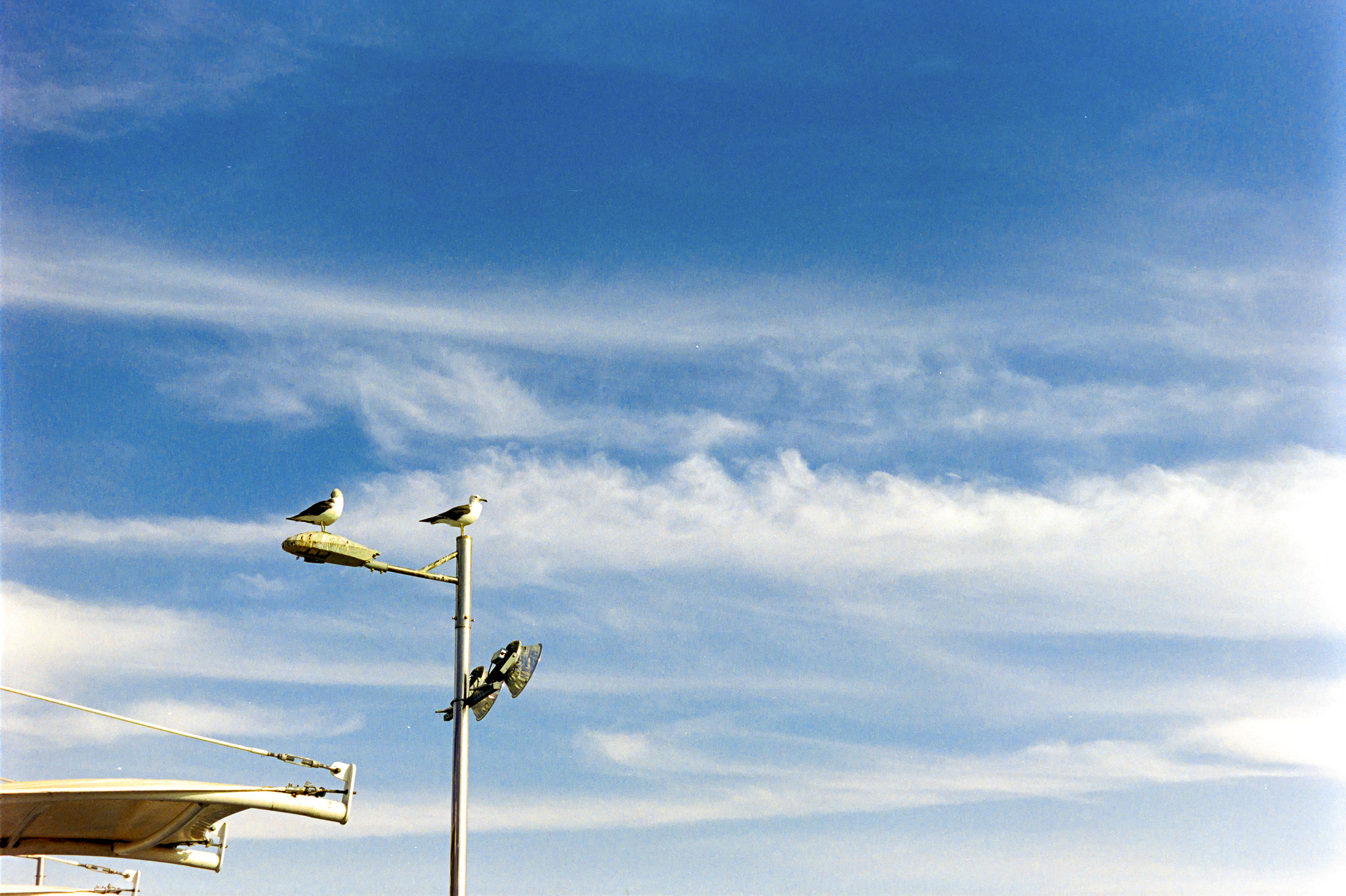 DC Inside 이미지 6