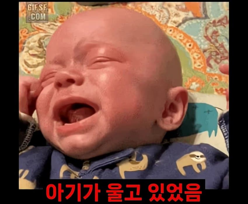 DC Inside 이미지 4