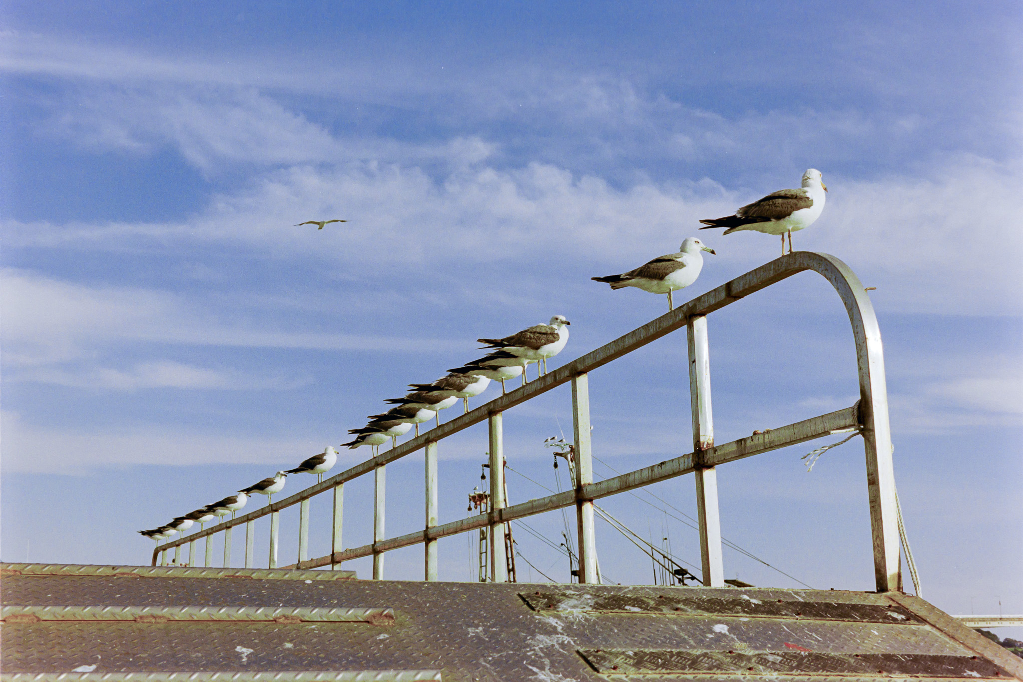 DC Inside 이미지 9