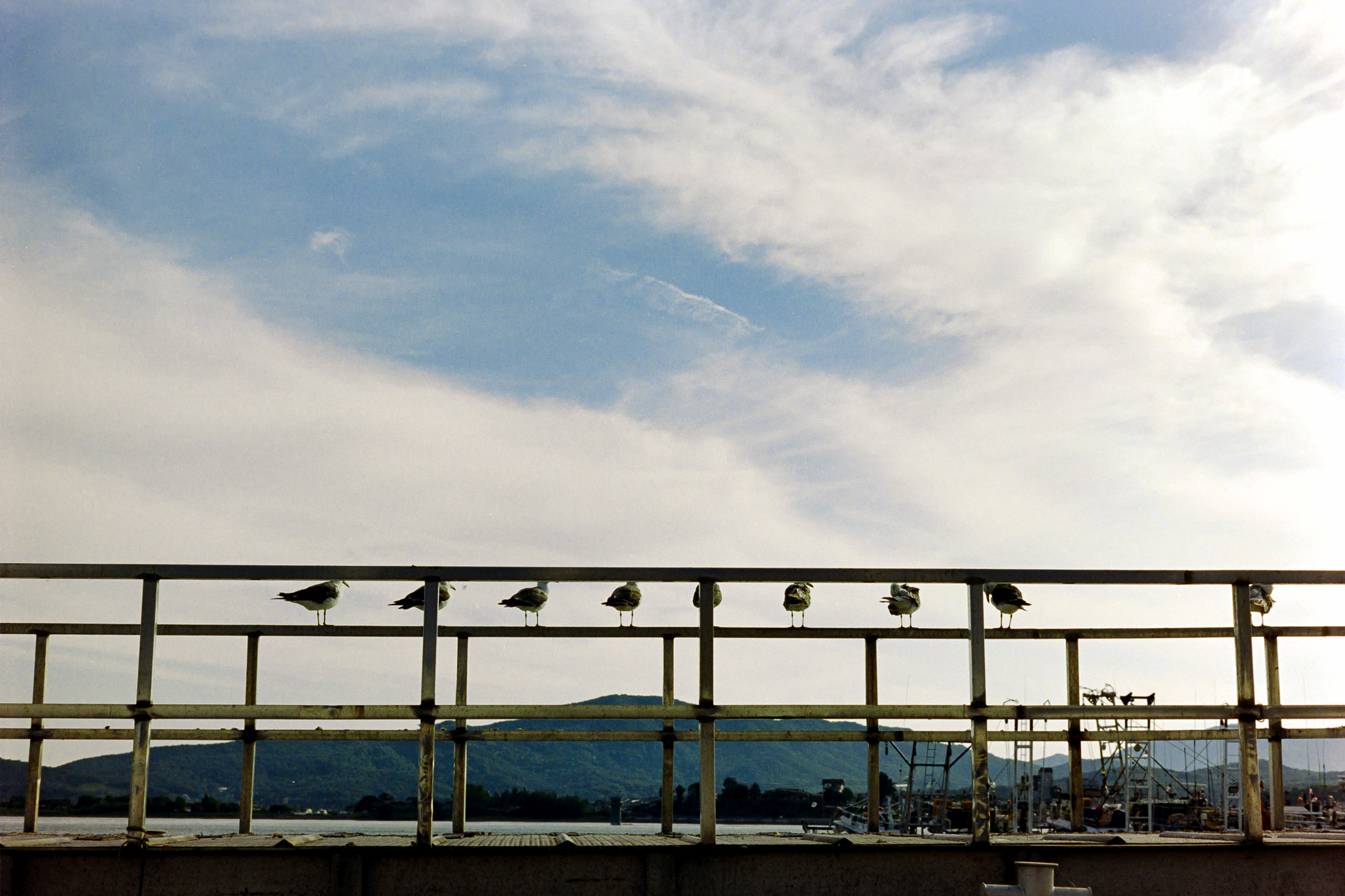 DC Inside 이미지 8