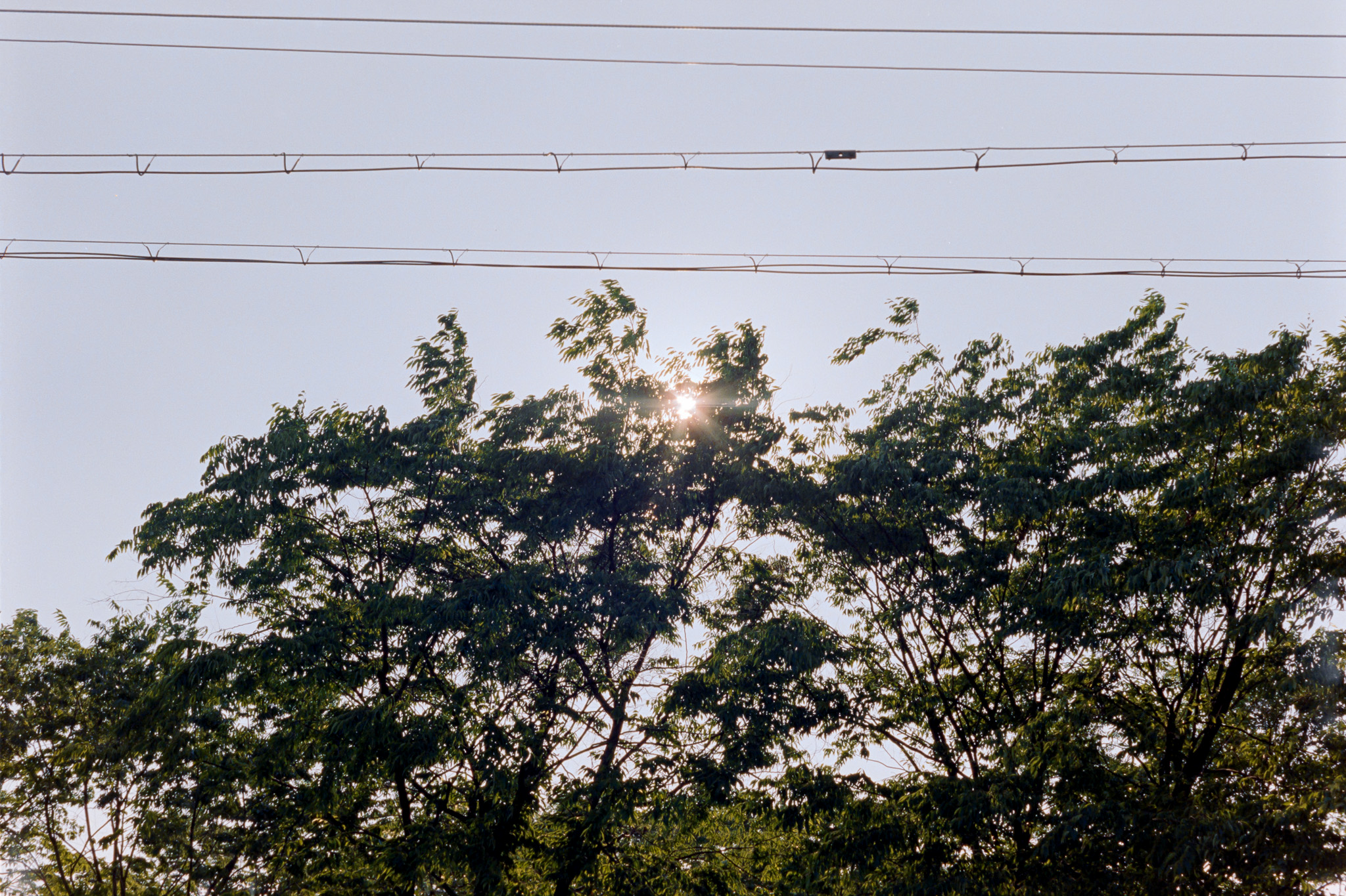 DC Inside 이미지 2