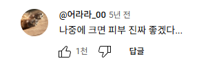 DC Inside 이미지 17