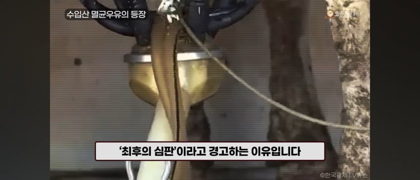 DC Inside 이미지 14
