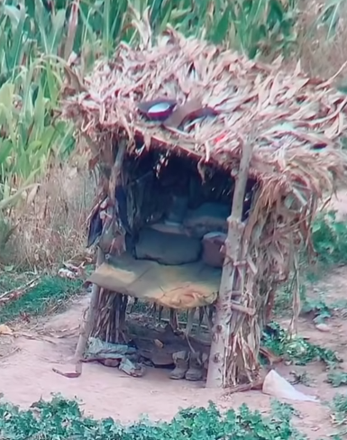 DC Inside 이미지 12