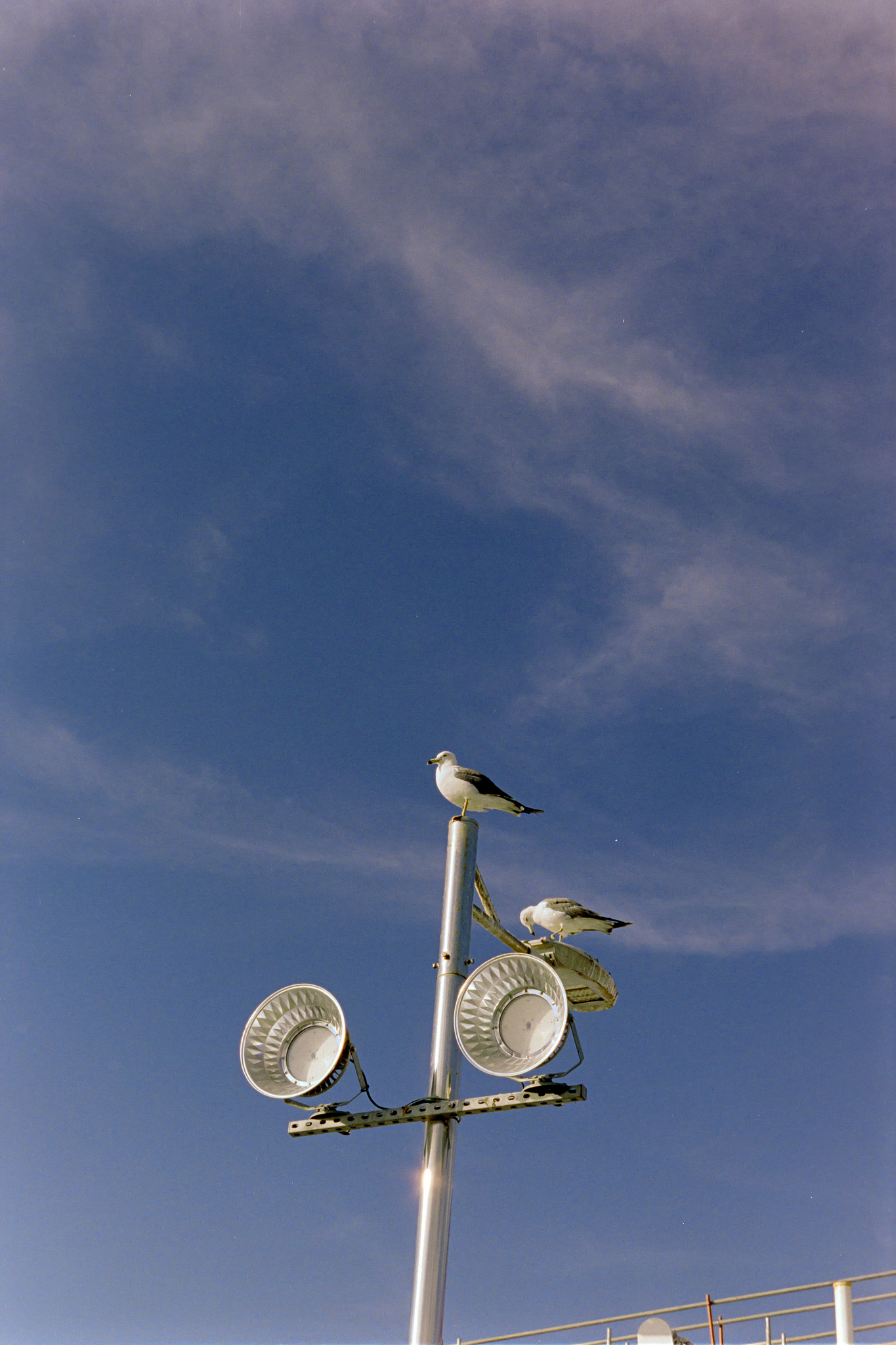 DC Inside 이미지 12