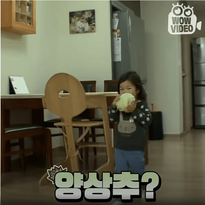 DC Inside 이미지 1
