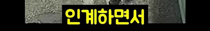 DC Inside 이미지 15