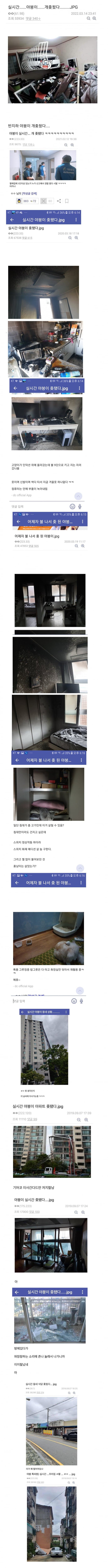 DC Inside 이미지 5