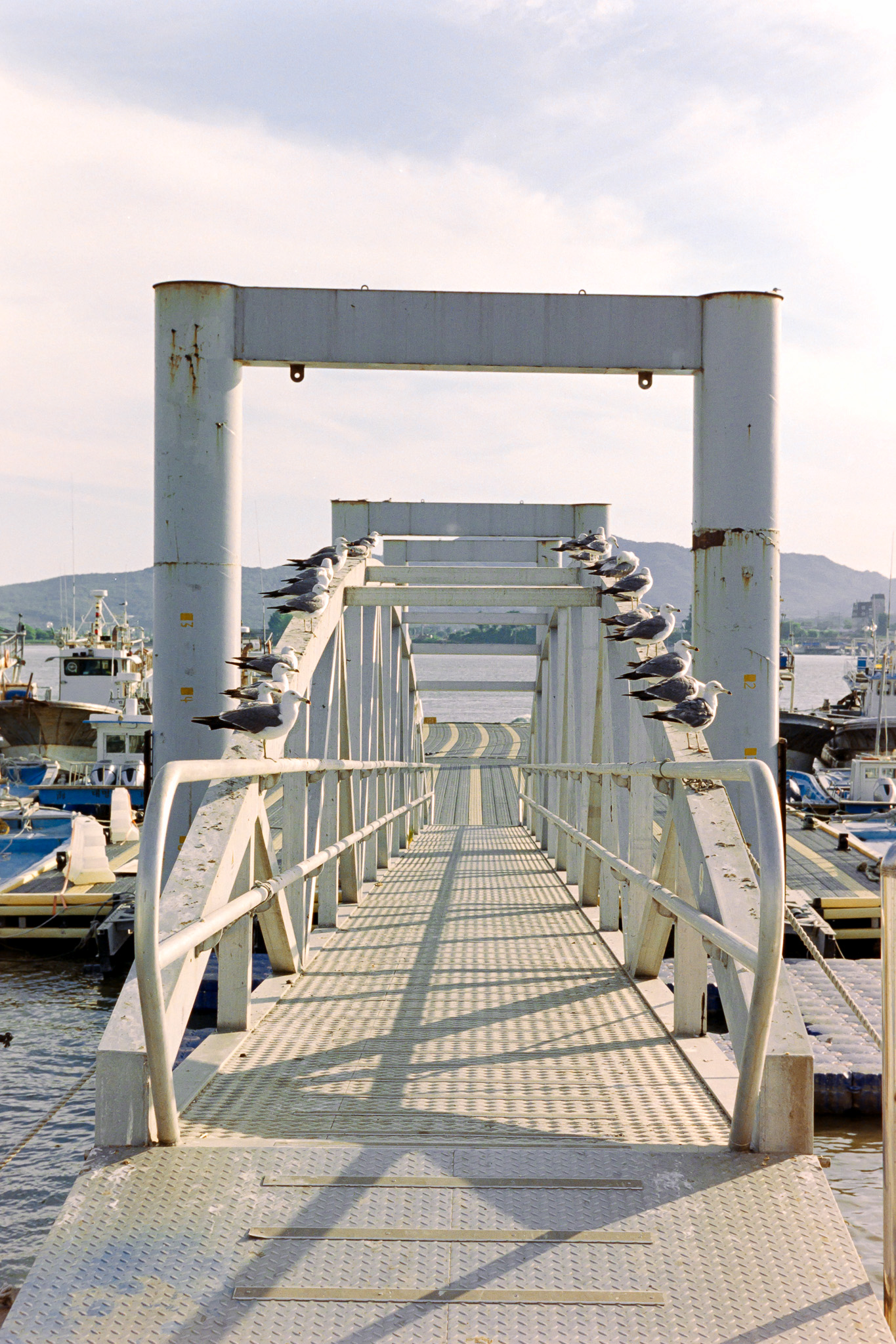 DC Inside 이미지 14