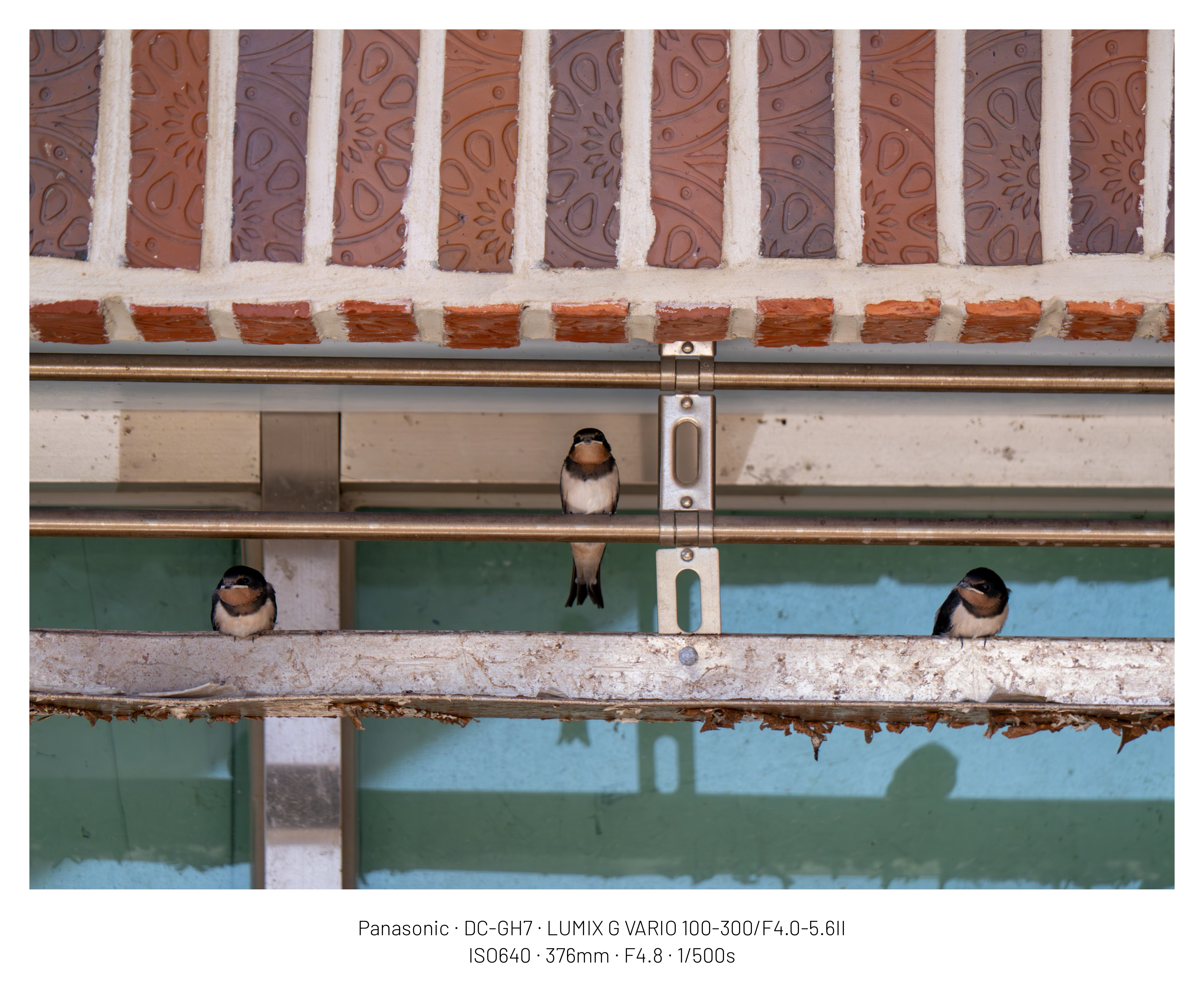 DC Inside 이미지 16