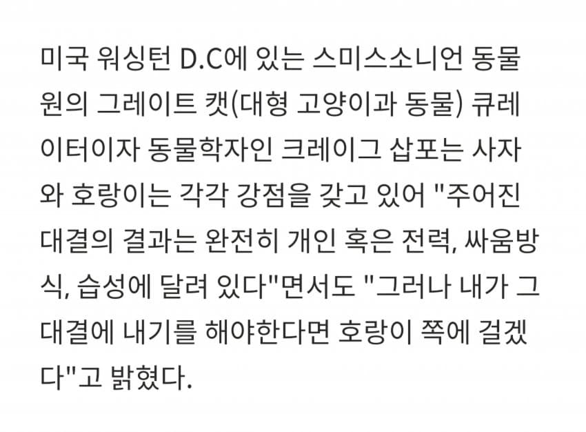 DC Inside 이미지 10