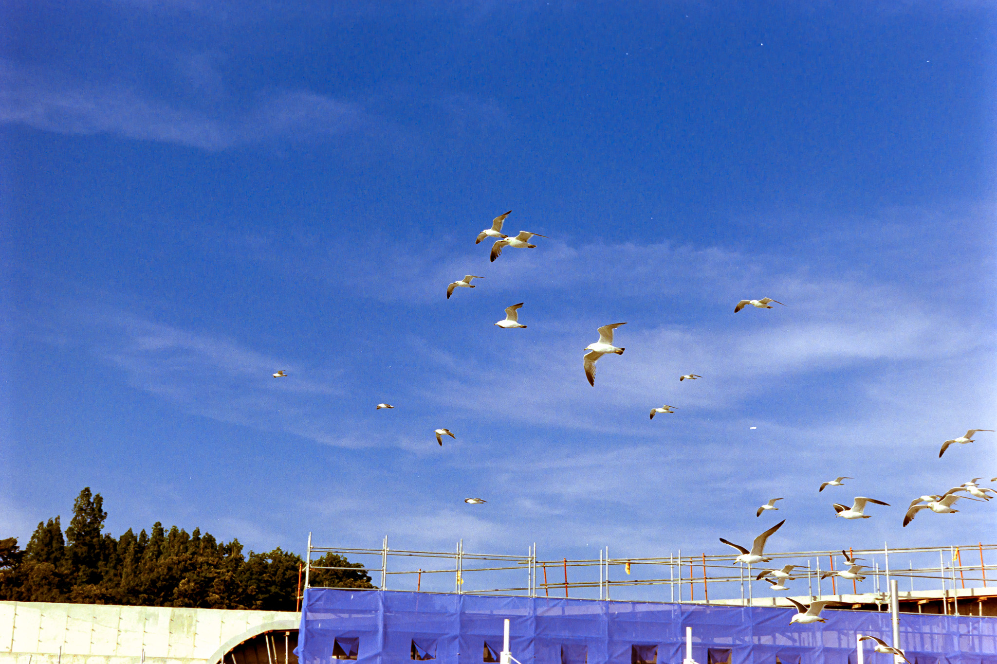 DC Inside 이미지 15